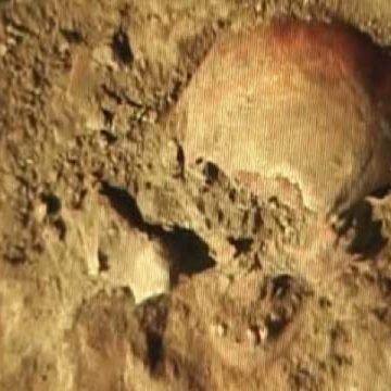 În perimetrul unui cimitir public din Baia Mare au fost semnalate câteva fragmente de oase suspecte