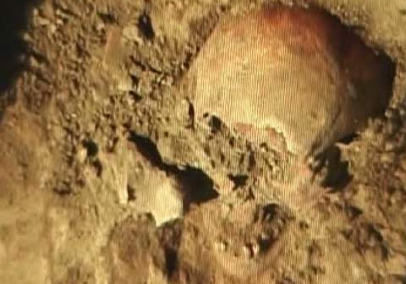 În perimetrul unui cimitir public din Baia Mare au fost semnalate câteva fragmente de oase suspecte