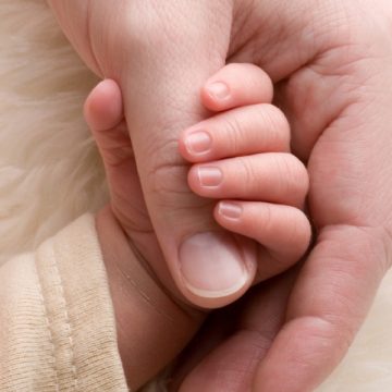 SIGHET: 24 de studenţi olandezi au fost prezenţi şi în acest an la Sighet pentru a fi alături de proiectele Fundaţiei Ajută