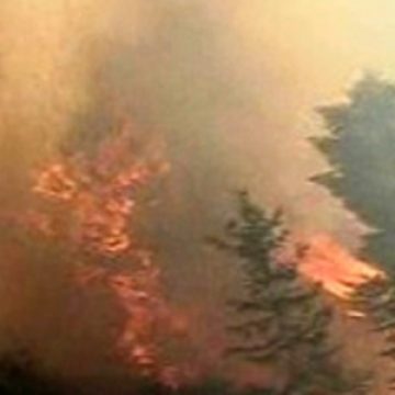 Incendiu de vegetatie stins cu elicopterul Incendiu de vegetatie stins cu elicopterul