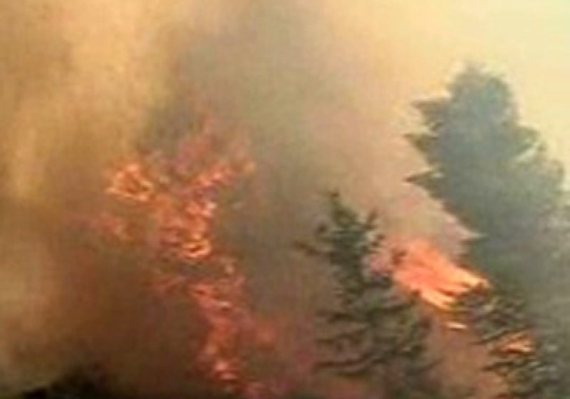 Incendiu de vegetatie stins cu elicopterul