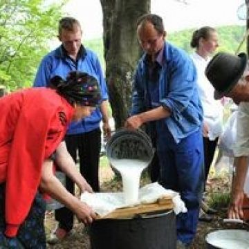 INS: Cantitatea colectată de lapte de vacă, mai mică cu 8,8%, în septembrie 2011