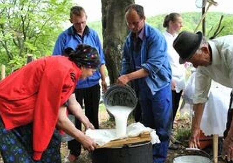 INS: Cantitatea colectată de lapte de vacă, mai mică cu 8,8%, în septembrie 2011 INS: Cantitatea colectată de lapte de vacă, mai mică cu 8,8%, în septembrie 2011