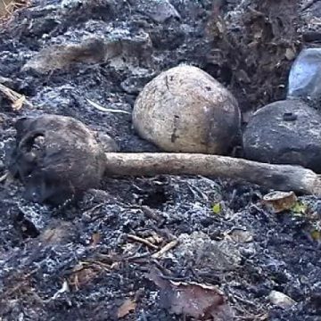 Baia Mare: Scene de groază – Cranii şi membre umane incinerate, descoperite în cimitirul Horea I Baia Mare: Scene de groază – Cranii şi membre umane incinerate, descoperite în cimitirul Horea I