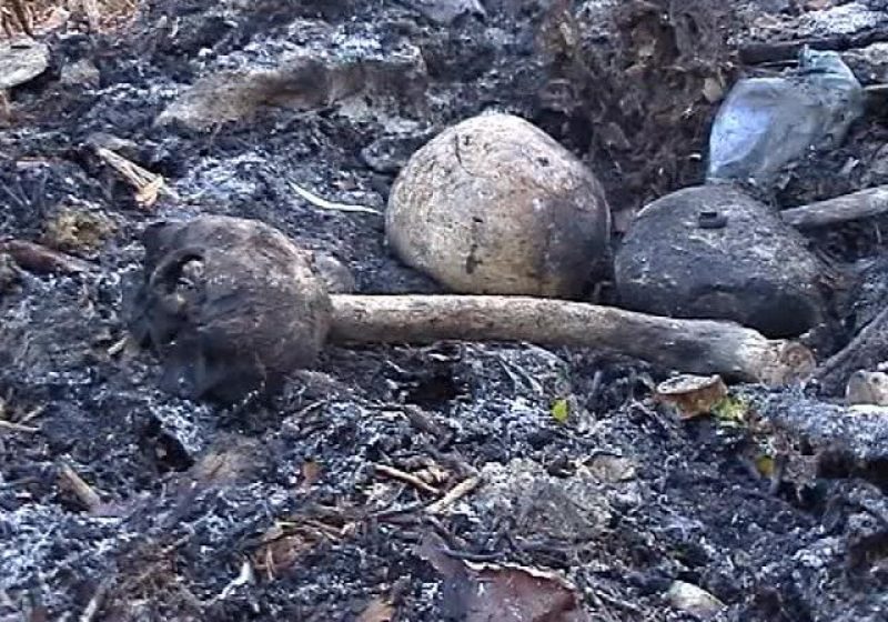 Baia Mare: Scene de groază – Cranii şi membre umane incinerate, descoperite în cimitirul Horea I Baia Mare: Scene de groază – Cranii şi membre umane incinerate, descoperite în cimitirul Horea I