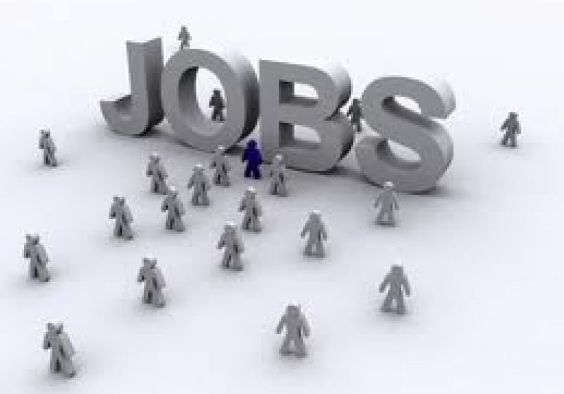 Peste 8.600 de locuri de muncă vacante în perioada 25 noiembrie – 2 decembrie