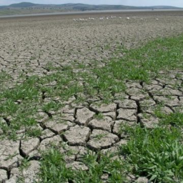 Situaţii disperate înregistrate în Maramureş din cauza secetei Situaţii disperate înregistrate în Maramureş din cauza secetei