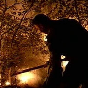 SGHET: Incendiu de proportii in zona Iapa