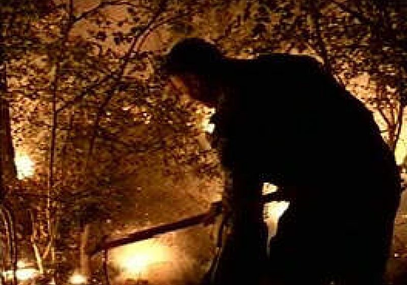 SGHET: Incendiu de proportii in zona Iapa