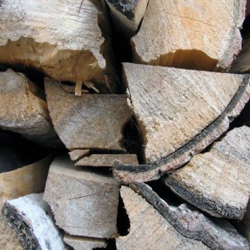 Tăiere ilegală şi furt de material lemnos la Săpânţa Tăiere ilegală şi furt de material lemnos la Săpânţa