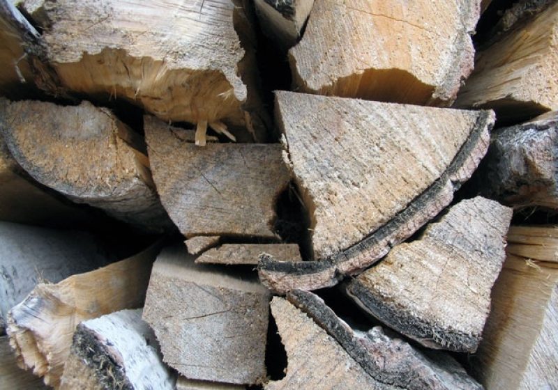Tăiere ilegală şi furt de material lemnos la Săpânţa Tăiere ilegală şi furt de material lemnos la Săpânţa