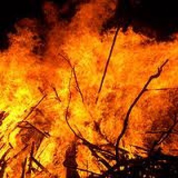 Un incediu izbucnit in Valea Hotarului a distrus un adapost de animale Un incediu izbucnit in Valea Hotarului a distrus un adapost de animale