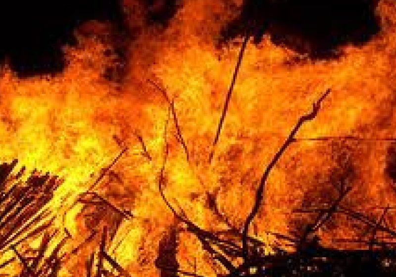 Un incediu izbucnit in Valea Hotarului a distrus un adapost de animale