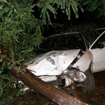 SIGHET: Un sofer de 25 de ani care se afla la volanul unui bolid a intrat in plin intr-un copac, retezandu-l. SIGHET: Un sofer de 25 de ani care se afla la volanul unui bolid a intrat in plin intr-un copac, retezandu-l.