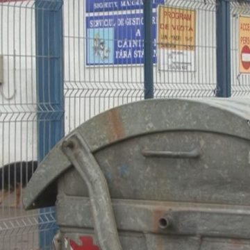 SIGHET: Doi câini din Adăpostul Animalelor fără stăpân din Sighet au fost găsiţi plini de sânge aruncaţi într-un tomberon SIGHET: Doi câini din Adăpostul Animalelor fără stăpân din Sighet au fost găsiţi plini de sânge aruncaţi într-un tomberon