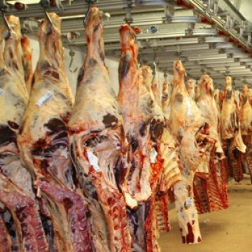 Baia Mare: Au fost semnalate două cazuri de trichineloză. Atenţie la carnea de porc pe care o cumpăraţi! Baia Mare: Au fost semnalate două cazuri de trichineloză. Atenţie la carnea de porc pe care o cumpăraţi!