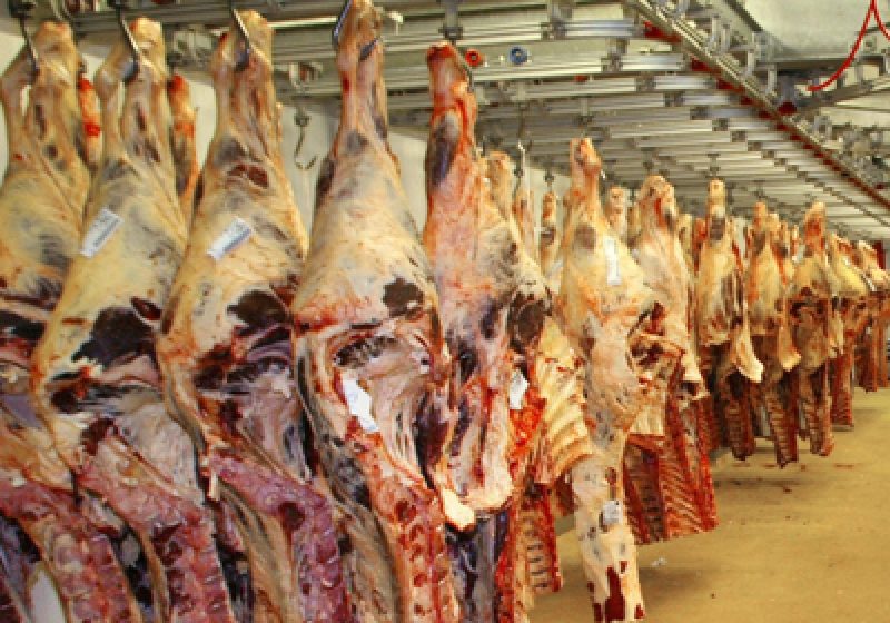Baia Mare: Au fost semnalate două cazuri de trichineloză. Atenţie la carnea de porc pe care o cumpăraţi! Baia Mare: Au fost semnalate două cazuri de trichineloză. Atenţie la carnea de porc pe care o cumpăraţi!