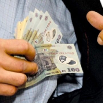 Evaziune fiscală şi nerespectarea legislaţiei privind societăţile comerciale constatate în zona Sighet