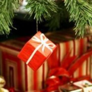 Unchi şi nepot în conflict pe timpul desfăşurării „Festivalului de Colinzi şi Obiceiuri de Iarnă” din Vişeu de Sus