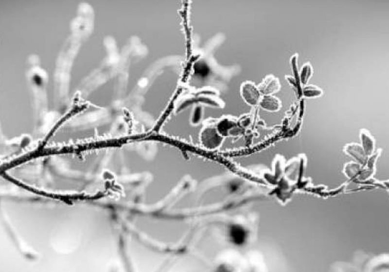 Maramureş: De mâine dimineaţă, iarna îşi intră în drepturi. Meteorologii prognozează ninsori şi intensificări ale vântului Maramureş: De mâine dimineaţă, iarna îşi intră în drepturi. Meteorologii prognozează ninsori şi intensificări ale vântului