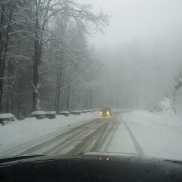 Maramures: Vizibilitate redusă de ceaţă în Pasurile Gutâi şi Prislop! Polei pe drumurile judeţene de la Cavnic! Maramures: Vizibilitate redusă de ceaţă în Pasurile Gutâi şi Prislop! Polei pe drumurile judeţene de la Cavnic!