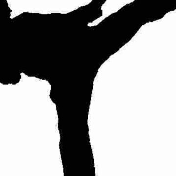 SIGHET: Premieră festivă la Clubul sighetean de karate Kamitza Do SIGHET: Premieră festivă la Clubul sighetean de karate Kamitza Do