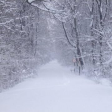 Ninsorile abundente căzute la Cavnic îngreunează mult traficul în zonă Ninsorile abundente căzute la Cavnic îngreunează mult traficul în zonă