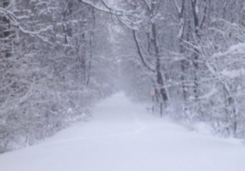 Ninsorile abundente căzute la Cavnic îngreunează mult traficul în zonă Ninsorile abundente căzute la Cavnic îngreunează mult traficul în zonă