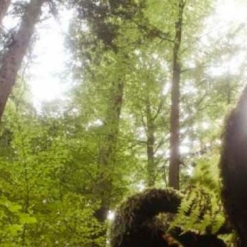 WWF şi MMP semnează, marţi, un protocol privind protejarea pădurilor virgine din România WWF şi MMP semnează, marţi, un protocol privind protejarea pădurilor virgine din România