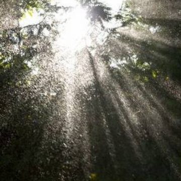 Temperaturi de primăvară, luni şi marţi. Cum va fi vremea la începutul săptămânii