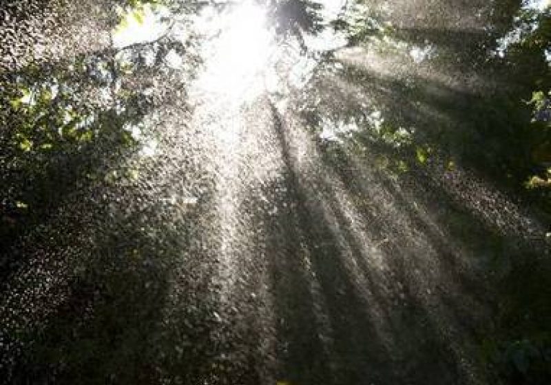 Temperaturi de primăvară, luni şi marţi. Cum va fi vremea la începutul săptămânii Temperaturi de primăvară, luni şi marţi. Cum va fi vremea la începutul săptămânii