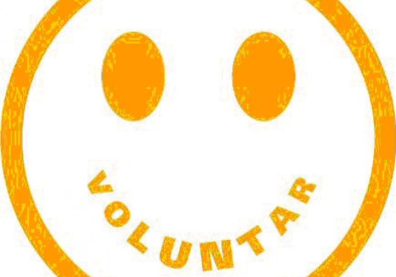 Acţiuni de Ziua Internaţională a Voluntariatului Acţiuni de Ziua Internaţională a Voluntariatului