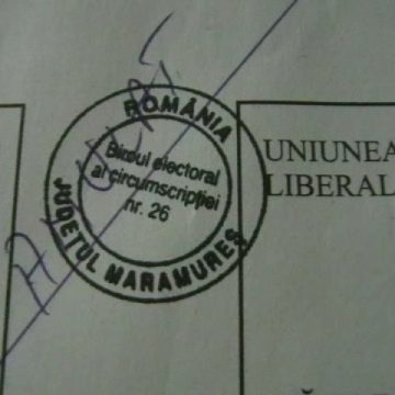 Baia Mare: S-a ales conducerea Comisiei Regionale de Politică Externă, Justiţie şi Drepturi Cetăţeneşti a PDL