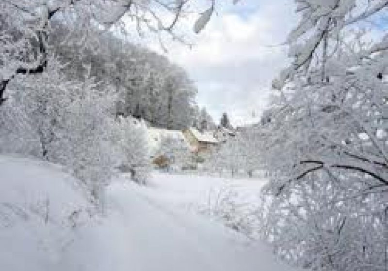 Târgu Lăpuş: – 30 grade Celsius au indicat termometrele în această dimineaţă la sol