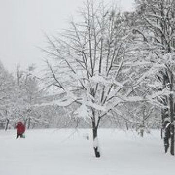 Atenţionare Cod Galben de ger în 37 de judeţe, inclusiv municipiul Bucureşti, până pe 3 februarie Atenţionare Cod Galben de ger în 37 de judeţe, inclusiv municipiul Bucureşti, până pe 3 februarie