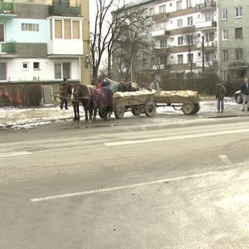 SIGHET: Căruţaşilor care vând lemne pentru încălzire li s-au alaturat si unii sigheteni motorizati, care asteapta clientii cu camionetele incarcate cu lemne SIGHET: Căruţaşilor care vând lemne pentru încălzire li s-au alaturat si unii sigheteni motorizati, care asteapta clientii cu camionetele incarcate cu lemne