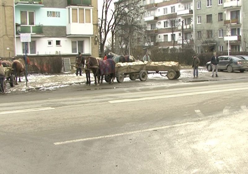 SIGHET: Căruţaşilor care vând lemne pentru încălzire li s-au alaturat si unii sigheteni motorizati, care asteapta clientii cu camionetele incarcate cu lemne