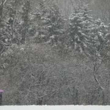 Luna ianuarie este cea mai neplăcută pentru cupluri Luna ianuarie este cea mai neplăcută pentru cupluri