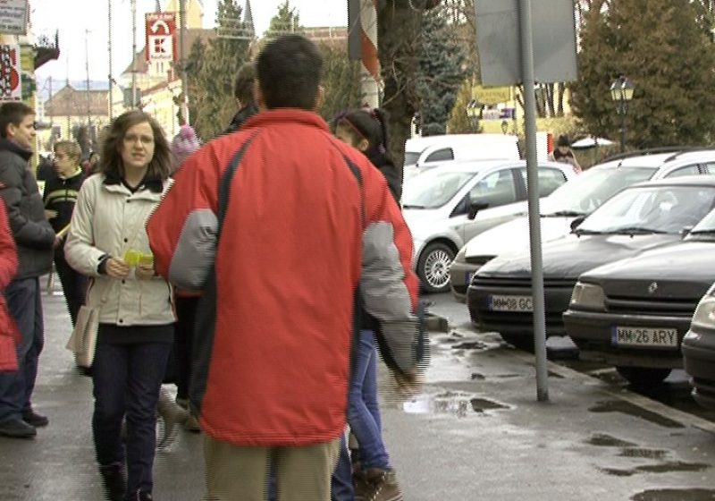 Sighetu Marmaţiei: Tinerii de la Clubul Elevilor Liberali au sărbătorit astăzi 162 de ani de la naşterea marelui poet Mihai Eminescu