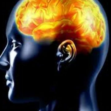 Creierul persoanelor care petrec prea mult timp pe internet se resimte Creierul persoanelor care petrec prea mult timp pe internet se resimte