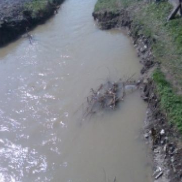 CUM SE PRESUPUNE CĂ SE RĂZBUNĂ ION PETROVAI, PRIMARUL DIN PETROVA CUM SE PRESUPUNE CĂ SE RĂZBUNĂ ION PETROVAI, PRIMARUL DIN PETROVA