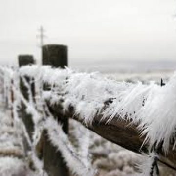 Maramureş: Gerul pune în pericol fondurile de vânătoare, lăsând animalele sălbatice fără hrană Maramureş: Gerul pune în pericol fondurile de vânătoare, lăsând animalele sălbatice fără hrană