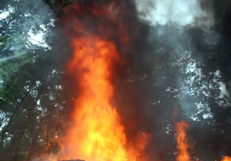 Baia Sprie: Incendiu la un coş de fum Baia Sprie: Incendiu la un coş de fum