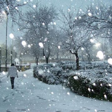 Ninsori viscolite în următoarele ore în Maramureş Ninsori viscolite în următoarele ore în Maramureş