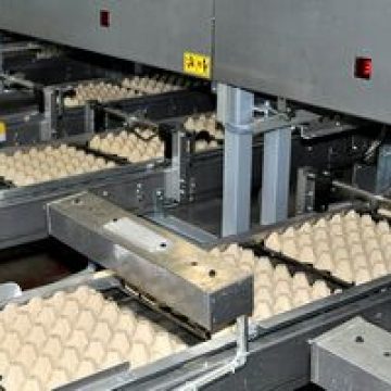 Ouăle marcate cu cifra 3 nu mai pot fi comercializate din ianuarie 2012 Ouăle marcate cu cifra 3 nu mai pot fi comercializate din ianuarie 2012