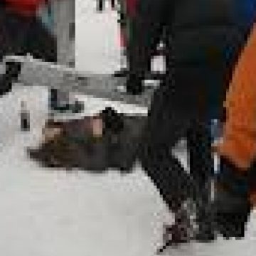 Accidentat pe pârtie Accidentat pe pârtie