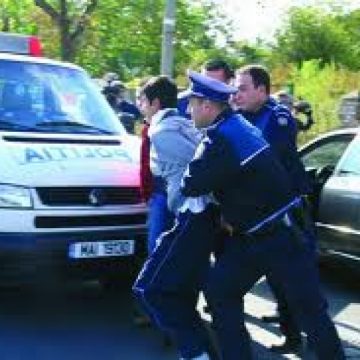 Scandalagii de sărbători Scandalagii de sărbători