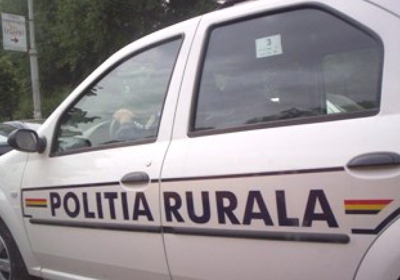 Şi-a înscenat răpirea pentru un moft şi a alertat familia şi poliţiştii Şi-a înscenat răpirea pentru un moft şi a alertat familia şi poliţiştii