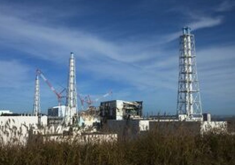 Studiu despre impactul radioactivităţii de la Fukushima asupra faunei şi florei