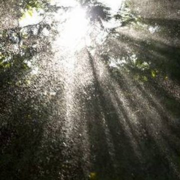 PROGNOZĂ ANM: Vremea în Maramureș în următoarele două săptămâni PROGNOZĂ ANM: Vremea în Maramureș în următoarele două săptămâni